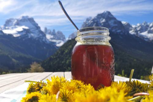 Dandelion jelly (or dandelion honey)